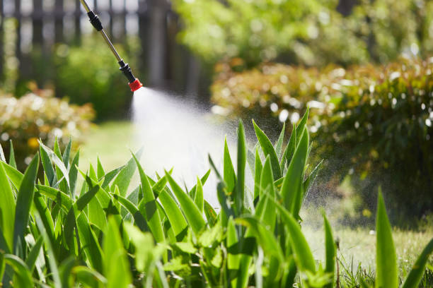 24/7 Emergency Mosquito Control experts in Tifton, GA